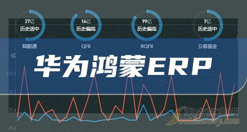 華為鴻蒙ERP行情全解析 A股上市公司名單及信息技術(shù)咨詢(xún)服務(wù)必看指南